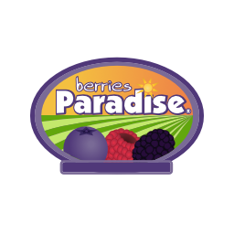 company-logo- 4