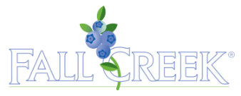 company-logo- 6