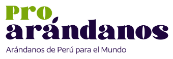 company-logo- 1